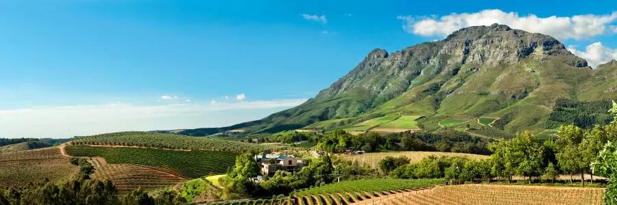 Weingut Tokara