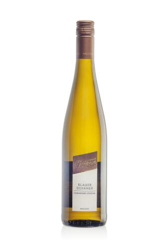 2024 Blauer Silvaner Nordheimer Vögelein trocken