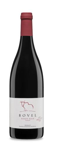 2018 Fälscher Pinot Noir Selection Bovel 