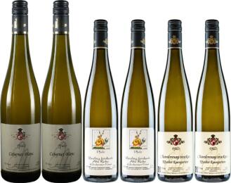 Nr. 1 a - Pfalzgruß