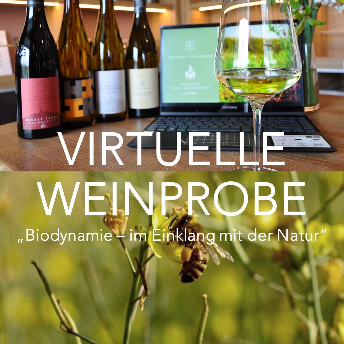 Virtuelle Weinprobe Juni