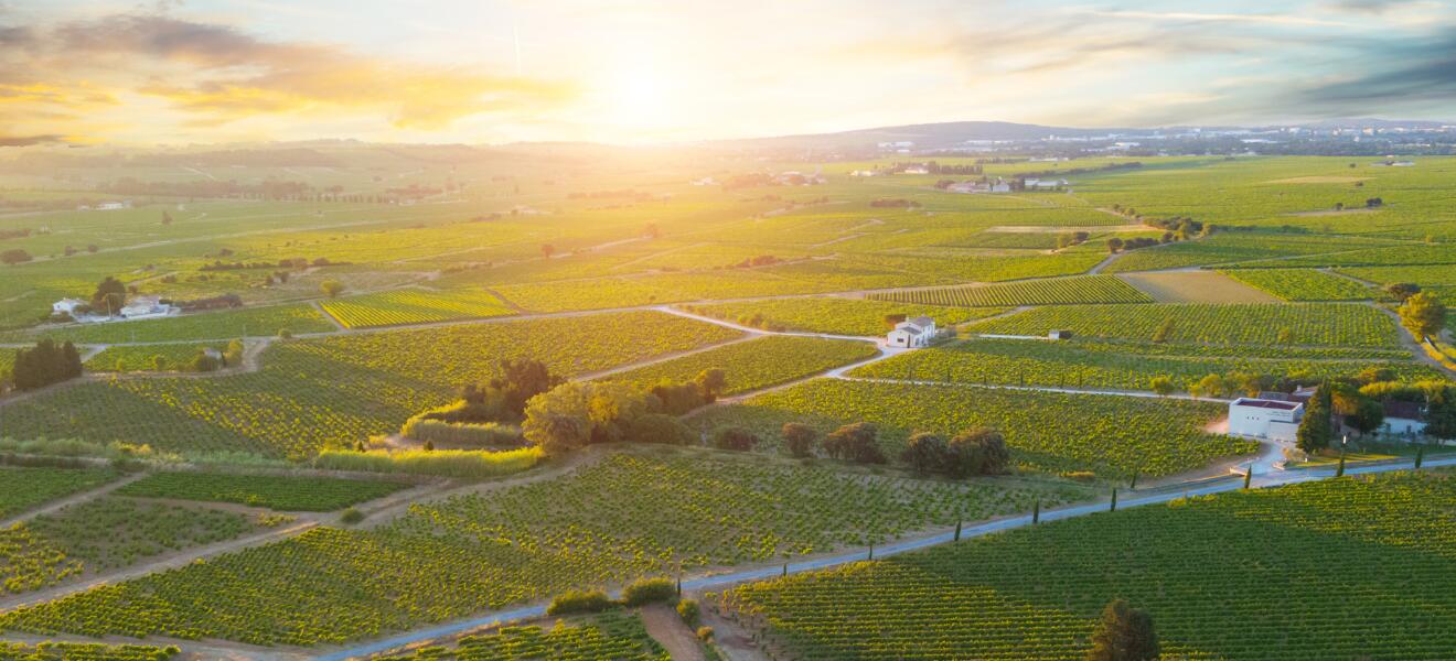 Azienda Agricola Feliciana