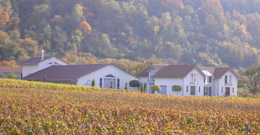 Weingut Faschian