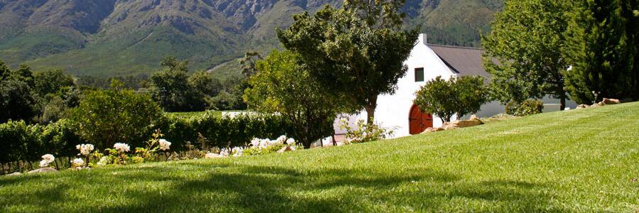 Weingut Boekenhoutskloof