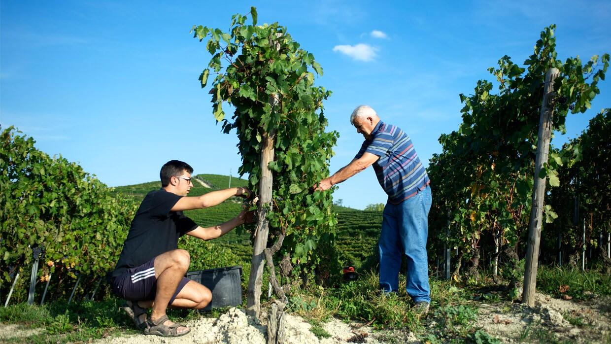 Az. Ag. Cascina Luisin