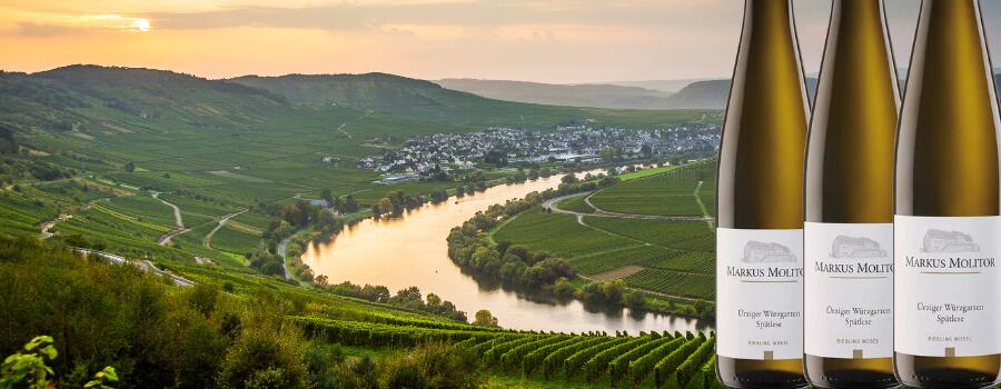 Weingut Markus Molitor