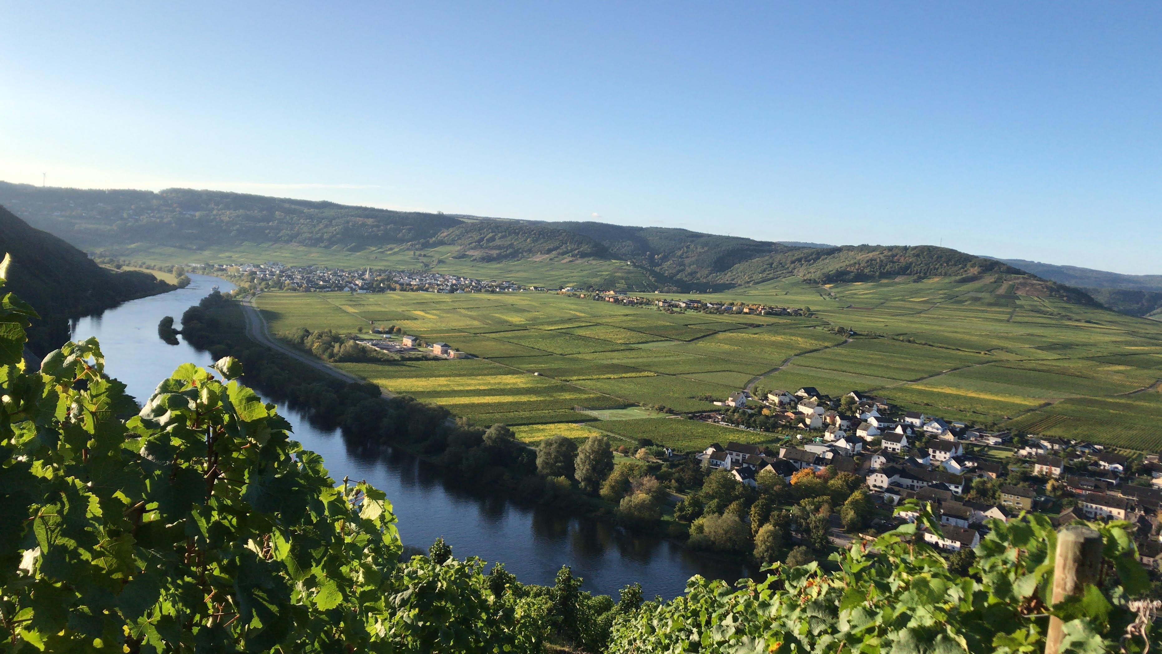 Weingut Thomas Krämer