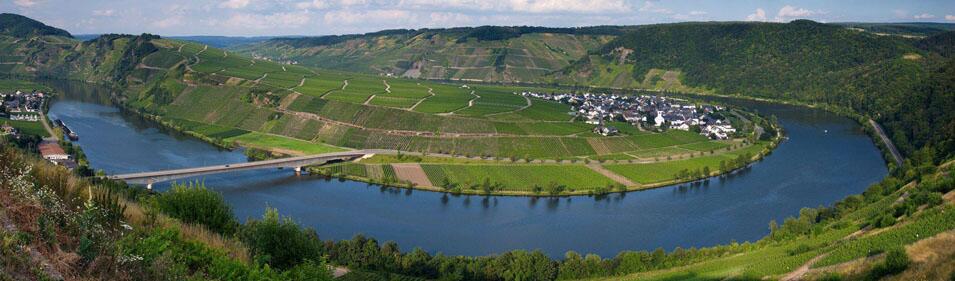 Weingut Thielen-Feilen