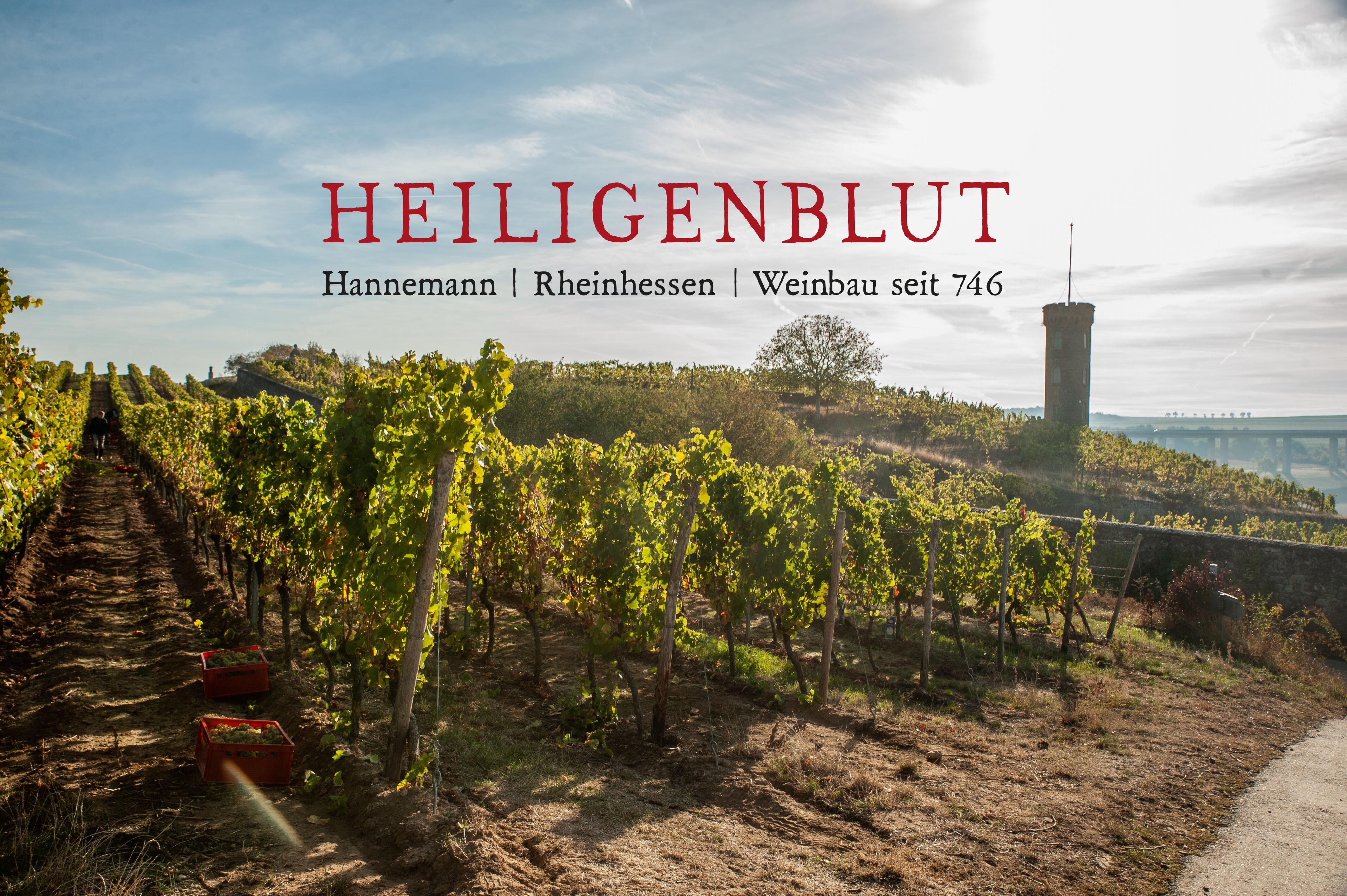 Weingut Heiligenblut