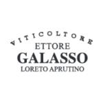 Logo von Ettore Galasso s.a.r.l. unipersonale