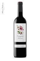 Camins del Priorat D.O.Ca. Álvaro Palacios