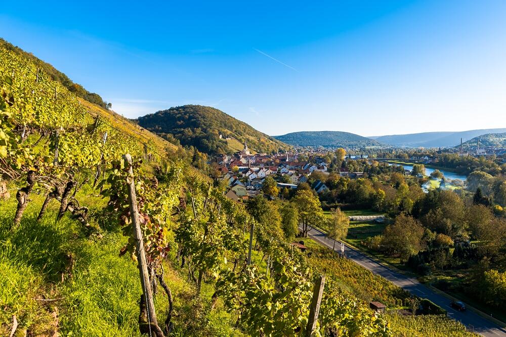 Weingut Hofmann-Herkert