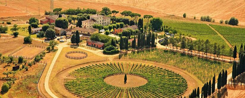 Weingut Avignonesi