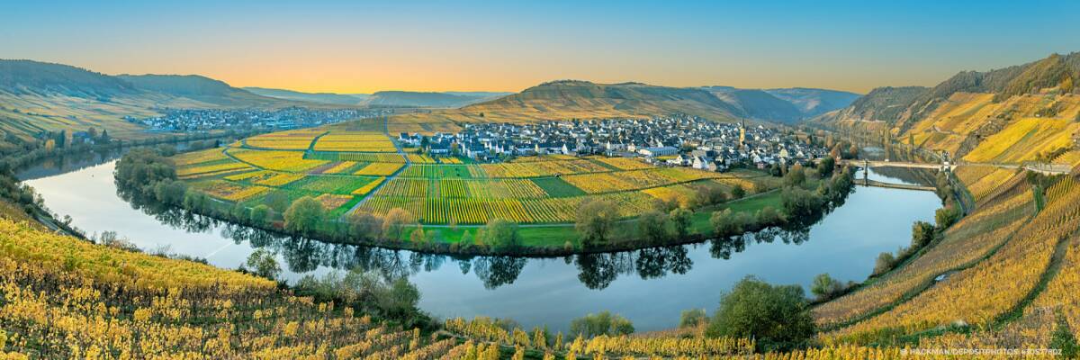 Das Weinbaugebiet Mosel: Alle Infos und Fakten im Überblick