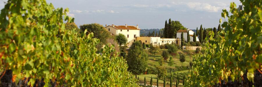 Weingut Cantine Leonardo da Vinci